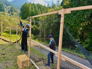 生分解性防獣ネットの設置風景