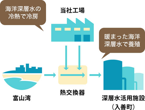 全体像