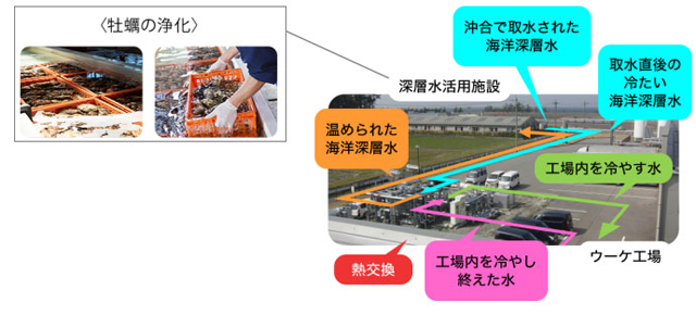 整備イメージ
