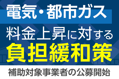 電気・都市ガス料金上昇に対する負担緩和策